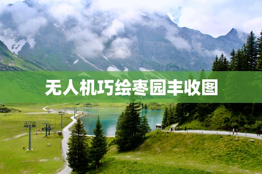 无人机巧绘枣园丰收图