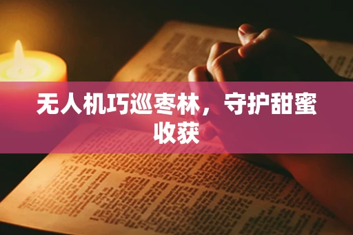 无人机巧巡枣林，守护甜蜜收获