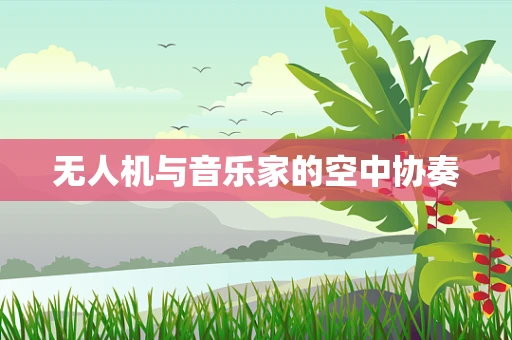 无人机与音乐家的空中协奏