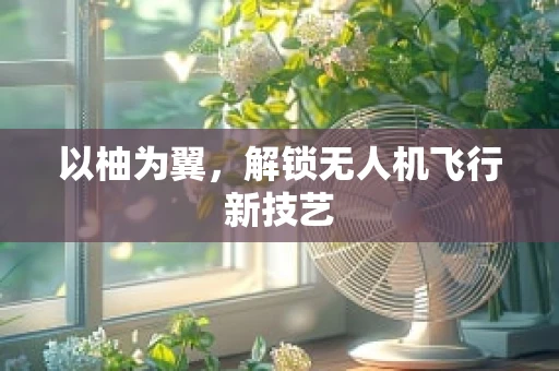 以柚为翼，解锁无人机飞行新技艺