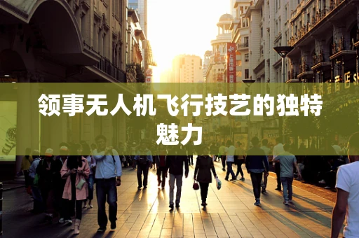 领事无人机飞行技艺的独特魅力