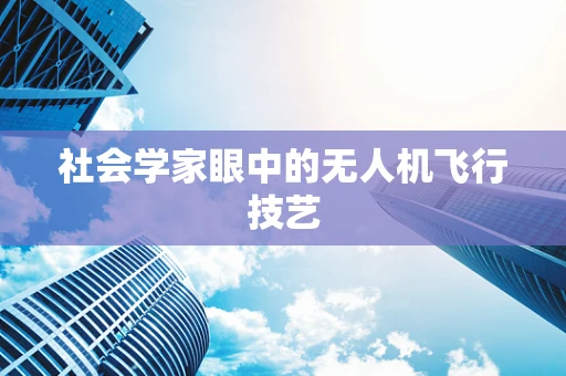 社会学家眼中的无人机飞行技艺