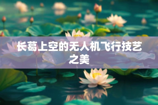 长葛上空的无人机飞行技艺之美