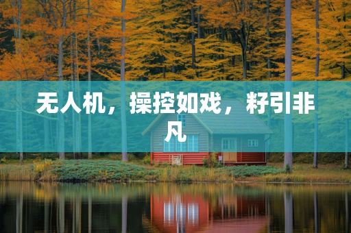 无人机，操控如戏，籽引非凡