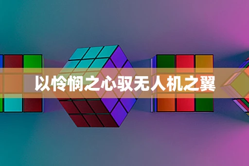以怜悯之心驭无人机之翼