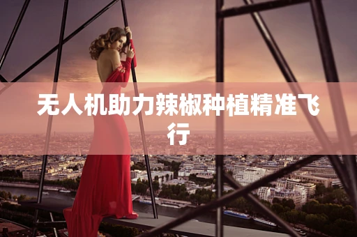 无人机助力辣椒种植精准飞行