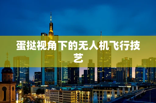 蛋挞视角下的无人机飞行技艺