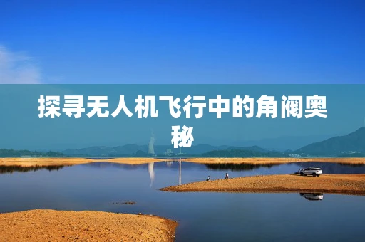 探寻无人机飞行中的角阀奥秘