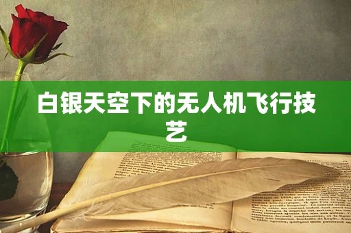白银天空下的无人机飞行技艺