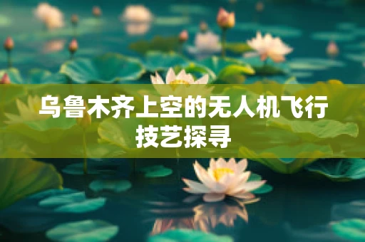乌鲁木齐上空的无人机飞行技艺探寻