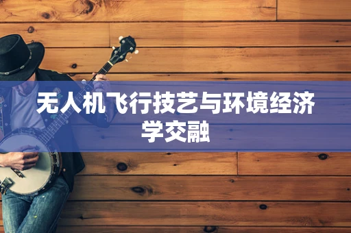 无人机飞行技艺与环境经济学交融