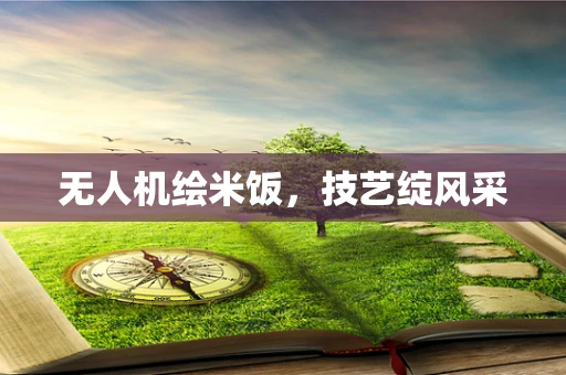 无人机绘米饭，技艺绽风采