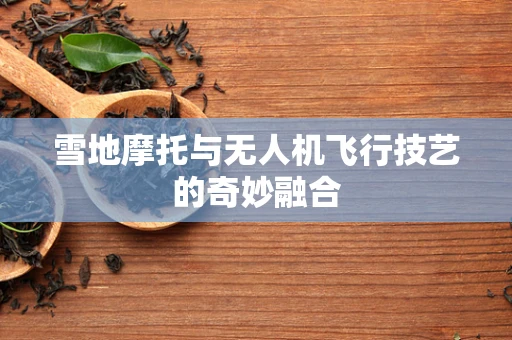 雪地摩托与无人机飞行技艺的奇妙融合