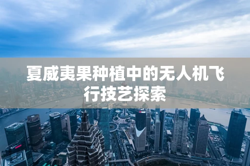 夏威夷果种植中的无人机飞行技艺探索