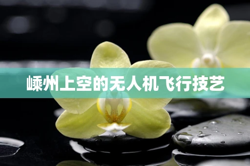 嵊州上空的无人机飞行技艺