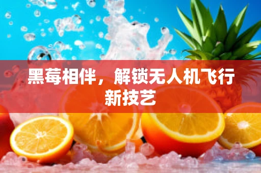 黑莓相伴，解锁无人机飞行新技艺