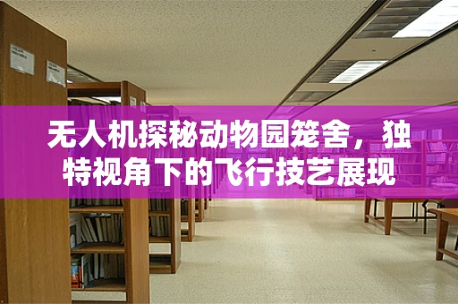 无人机探秘动物园笼舍，独特视角下的飞行技艺展现